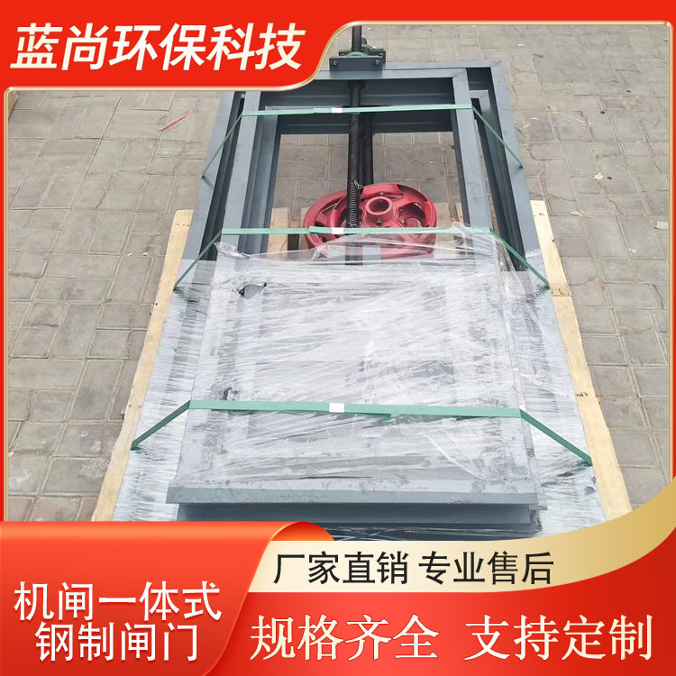 碳钢整体式闸门