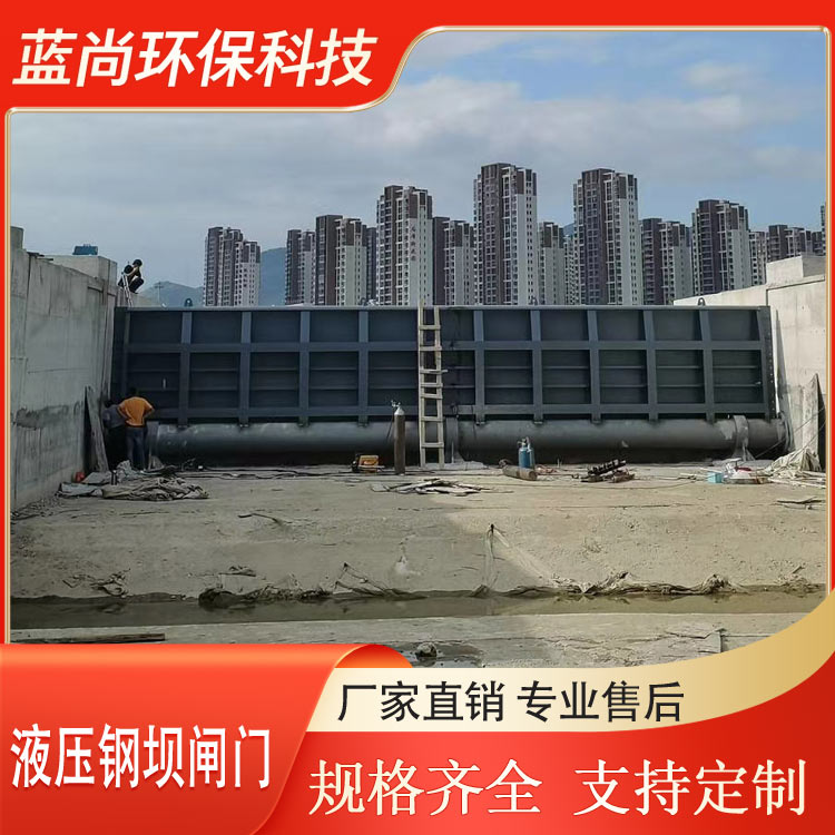 钢坝闸门